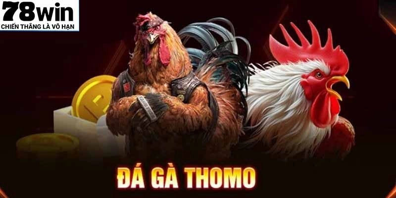 Sảnh game là nơi hội tụ của nhiều chiến kê đẳng cấp